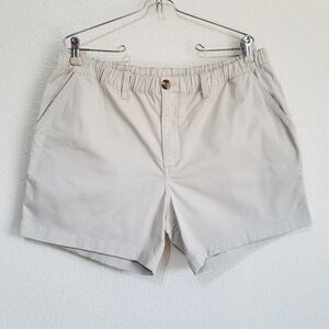 Chubbies Casual Shorts